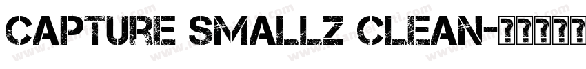 capture smallz clean字体转换
